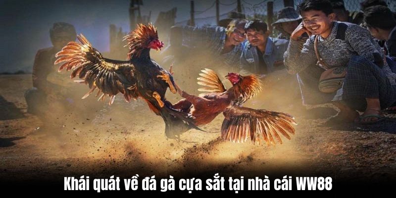 Chọi kê tại nhà cái là sân chơi uy tín và chất lượng cao